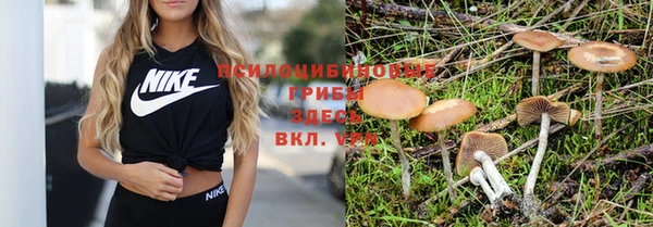 мдпв Володарск